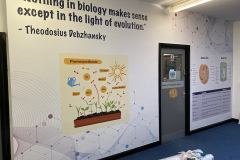 Biology-wall