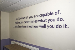 Internal-Graphics-005