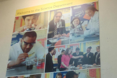 Internal-Graphics-008