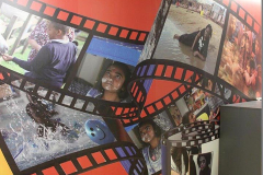 Internal-Graphics-010