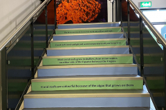 Stair graphics