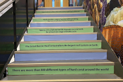 Stairs with wall graphic