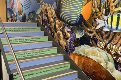 Stairs and wall graphic